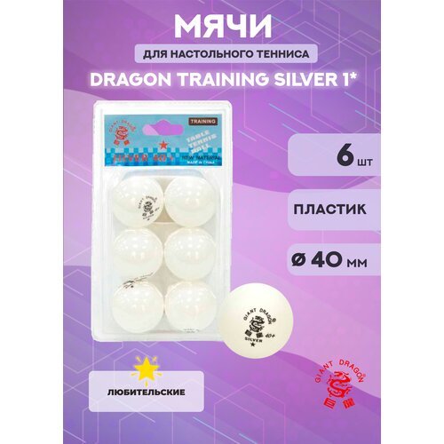 Мячи Dragon Training Silver 1* (6 шт, белые) в блистере