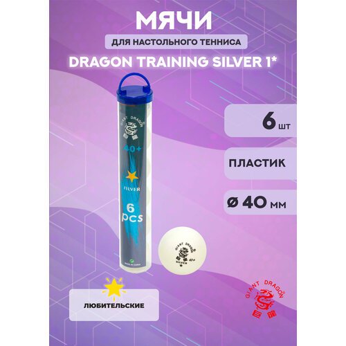 Мячи Dragon Training Silver 1* (6 шт, белые) в тубусе