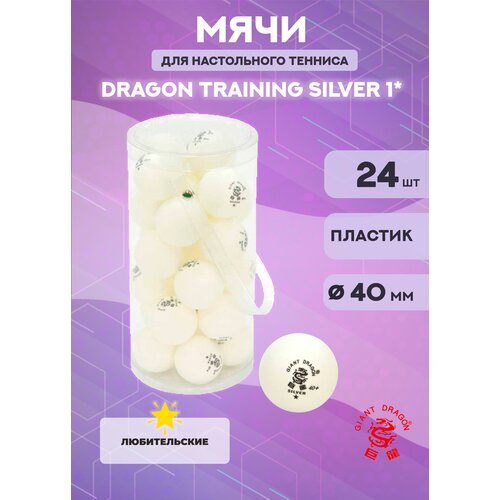 Мячи Dragon Training Silver 1* (24 шт, белые)