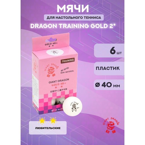 Мячи Dragon Training Gold 2* (6 шт, белые) в коробке