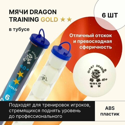 Мячи для настольного тенниса Dragon Training Gold 2* New 6 шт, в тубусе / шарики для настольного тенниса / шарики для пинг понга