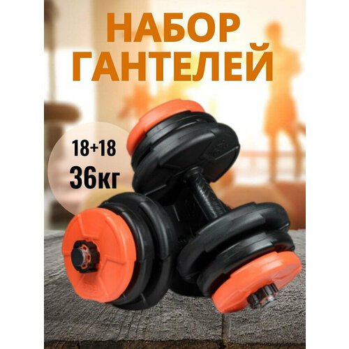 Гантели разборные ECGSPOR 36кг, 2шт по 18кг