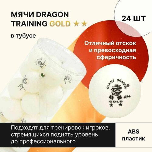 Мячи для настольного тенниса Dragon Training Gold 2* New 24 шт, в тубусе / шарики для настольного тенниса / шарики для пинг понга
