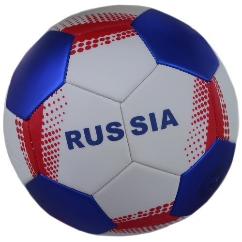 Футбольный мяч Рыжий кот Russia, размер 5