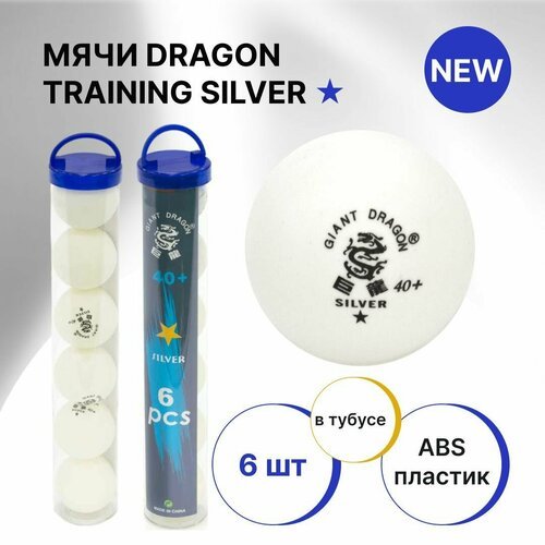 Мячи Dragon Training Silver New 6 шт, бел. в тубусе