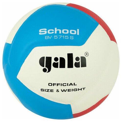 Мяч волейбольный GALA School 12, BV5715S, р. 5